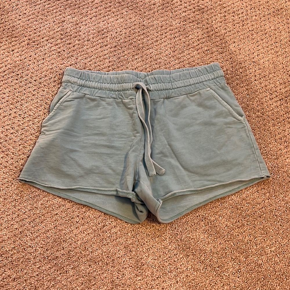 Souther marsh shorts- blue